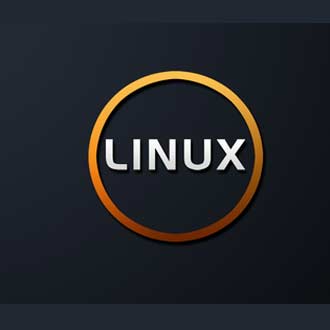 經(jīng)驗(yàn)之談：如何在服務(wù)器上安裝專業(yè)版的linux呢？.jpg