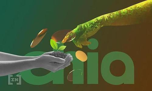 租用恒訊科技的chia服務(wù)器有何優(yōu)勢？.jpg