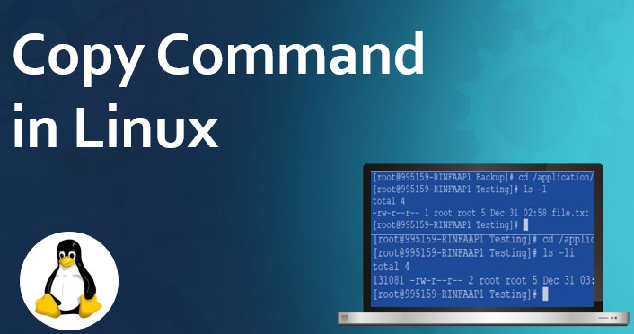 linux復(fù)制文件cp命令怎么使用？.png